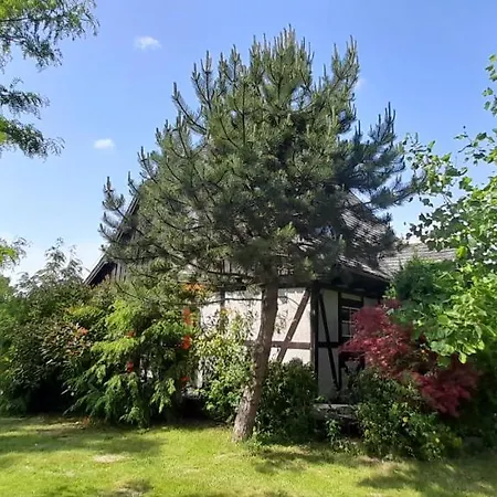 Letniskowy Wczasy Nad Morzem *