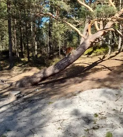 Дом отдыха Letniskowy Wczasy Nad Morzem